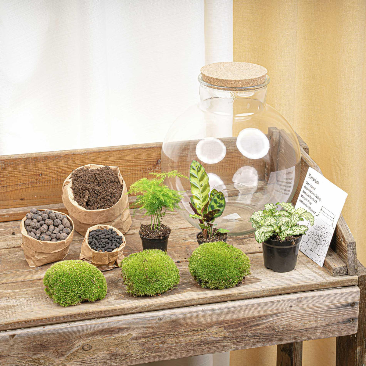 💡 DIY Plantenterrarium met Verlichting – Bolder Bob