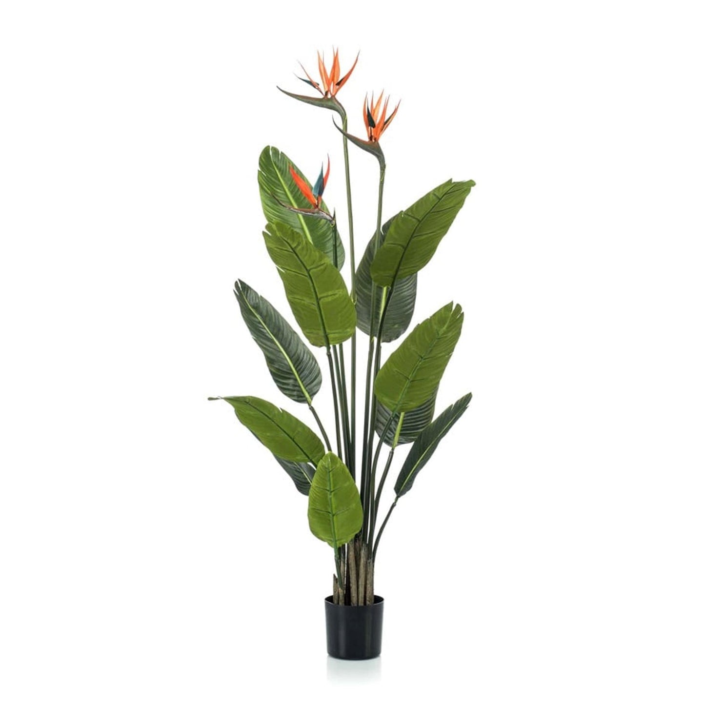 🌿 Strelitzia – Realistische Kunstplant in Pot (120 cm)