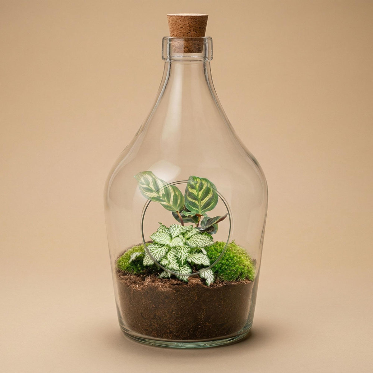 🌿 Open Plantenterrarium – Joss