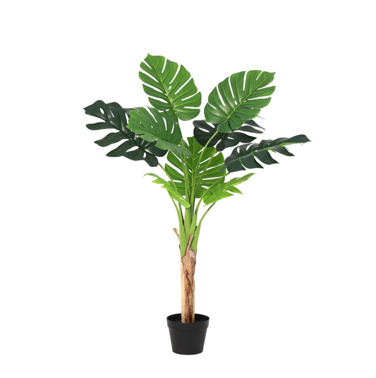 🌿 Kunst Monstera Deliciosa