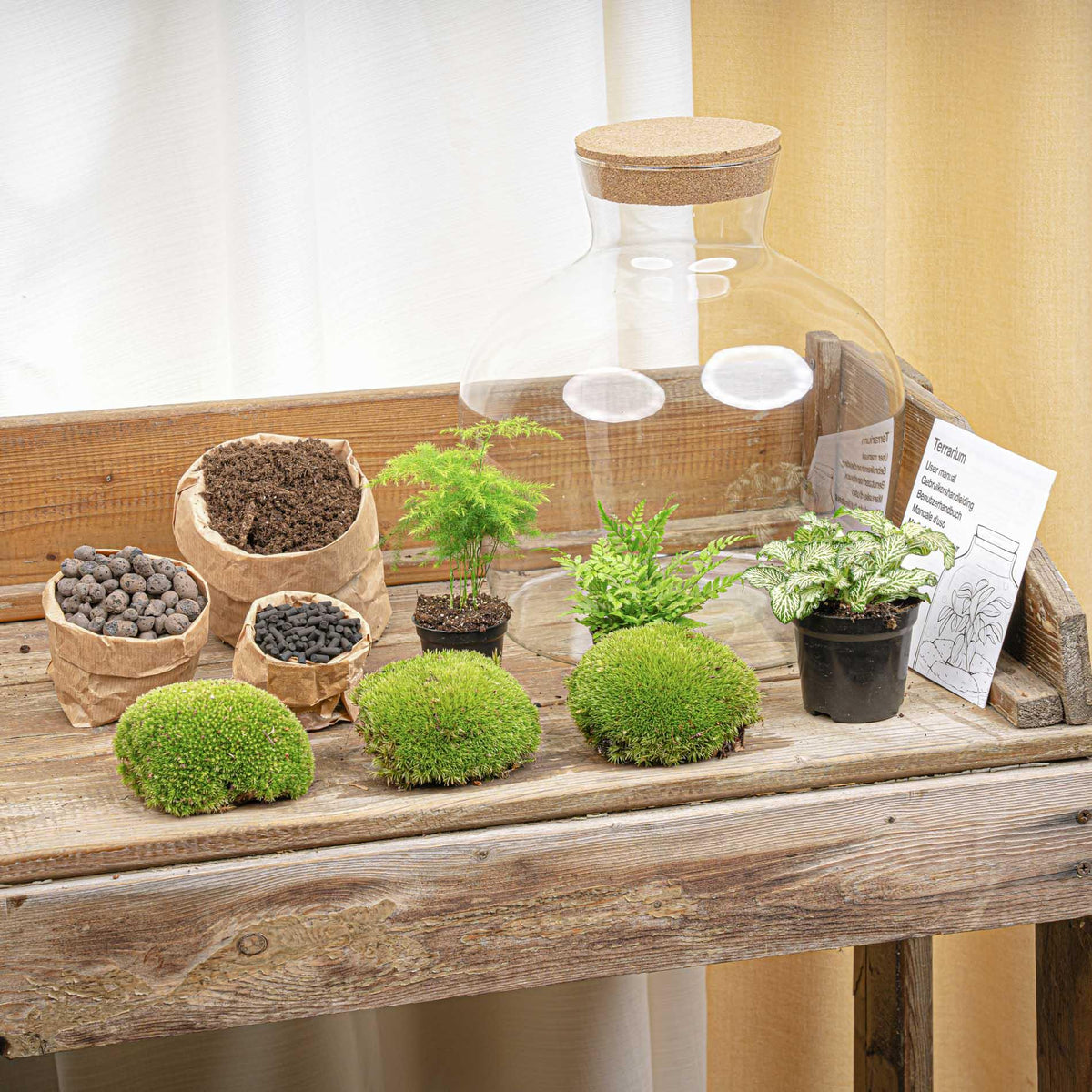 💡 DIY Plantenterrarium met Verlichting – Fat Joe Green