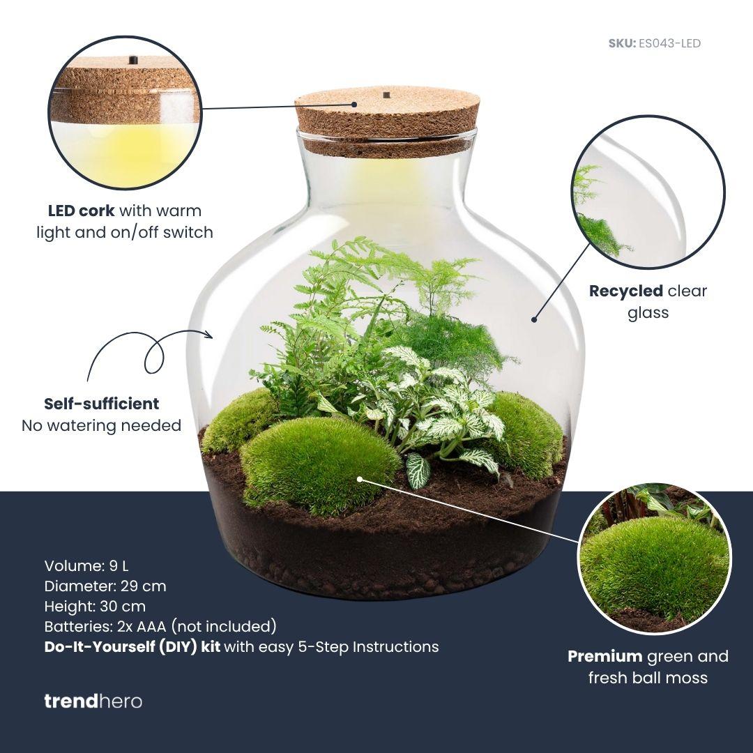 💡 DIY Plantenterrarium met Verlichting – Fat Joe Green