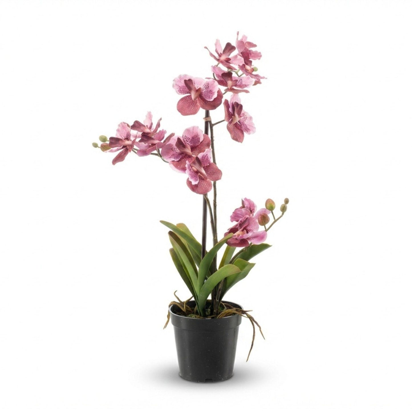 🌸 Vanda Orchidee – Kunstplant in Pot (60 cm, Oudroze)