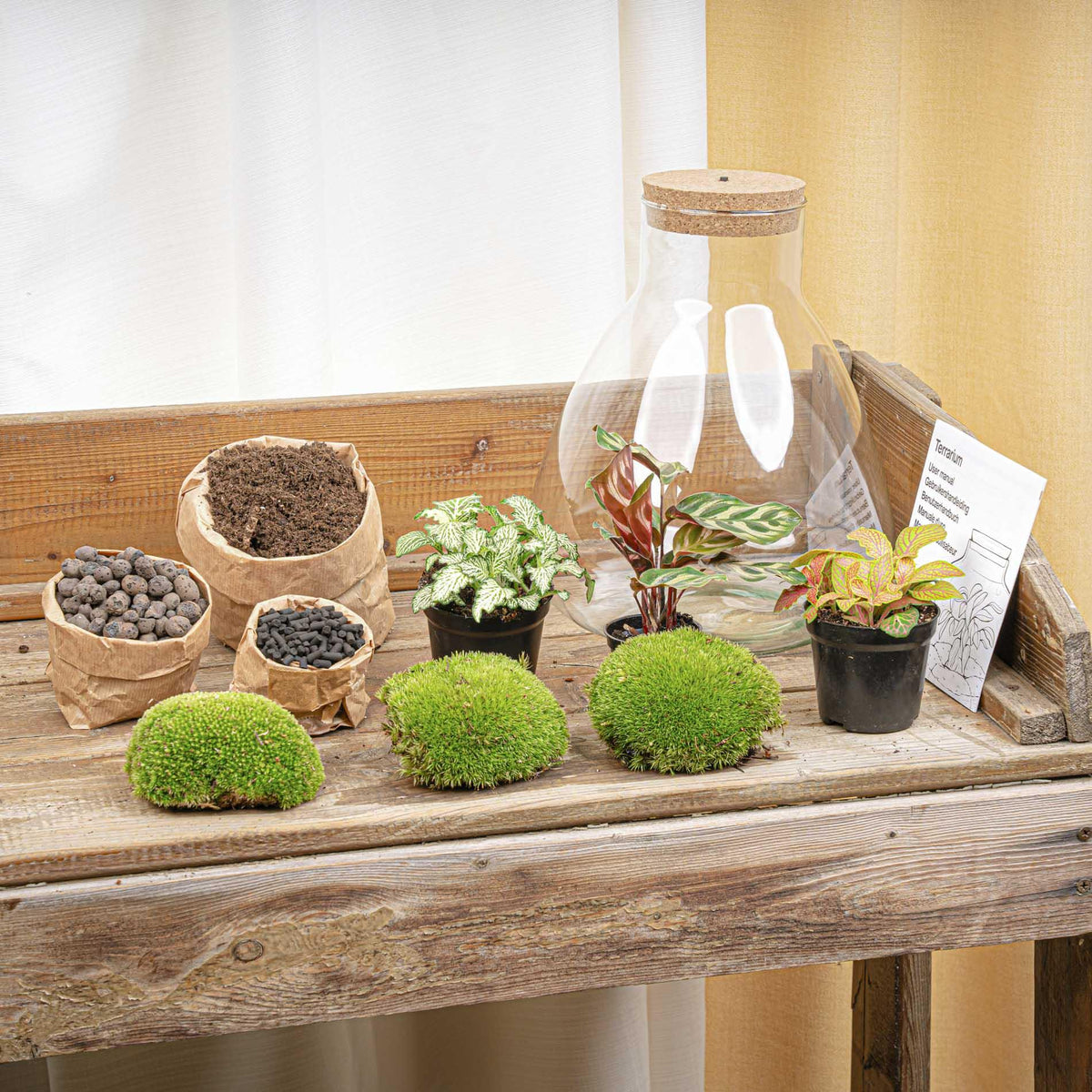 💡 DIY Plantenterrarium met Verlichting – Sam XL Red