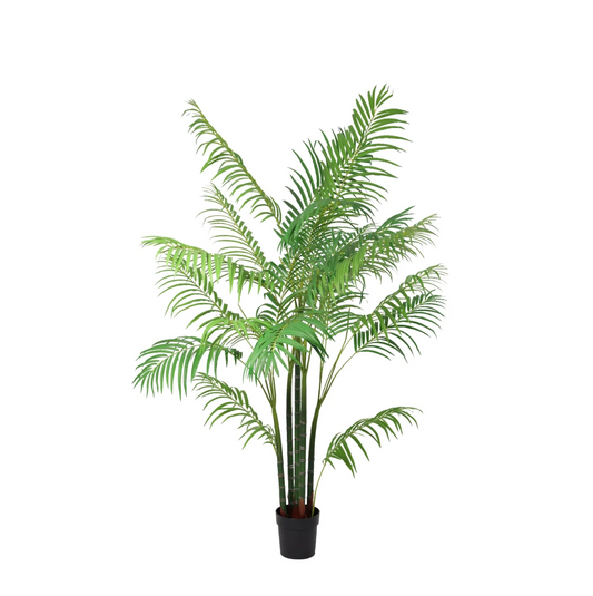 🌴 Kunst Areca Palm
