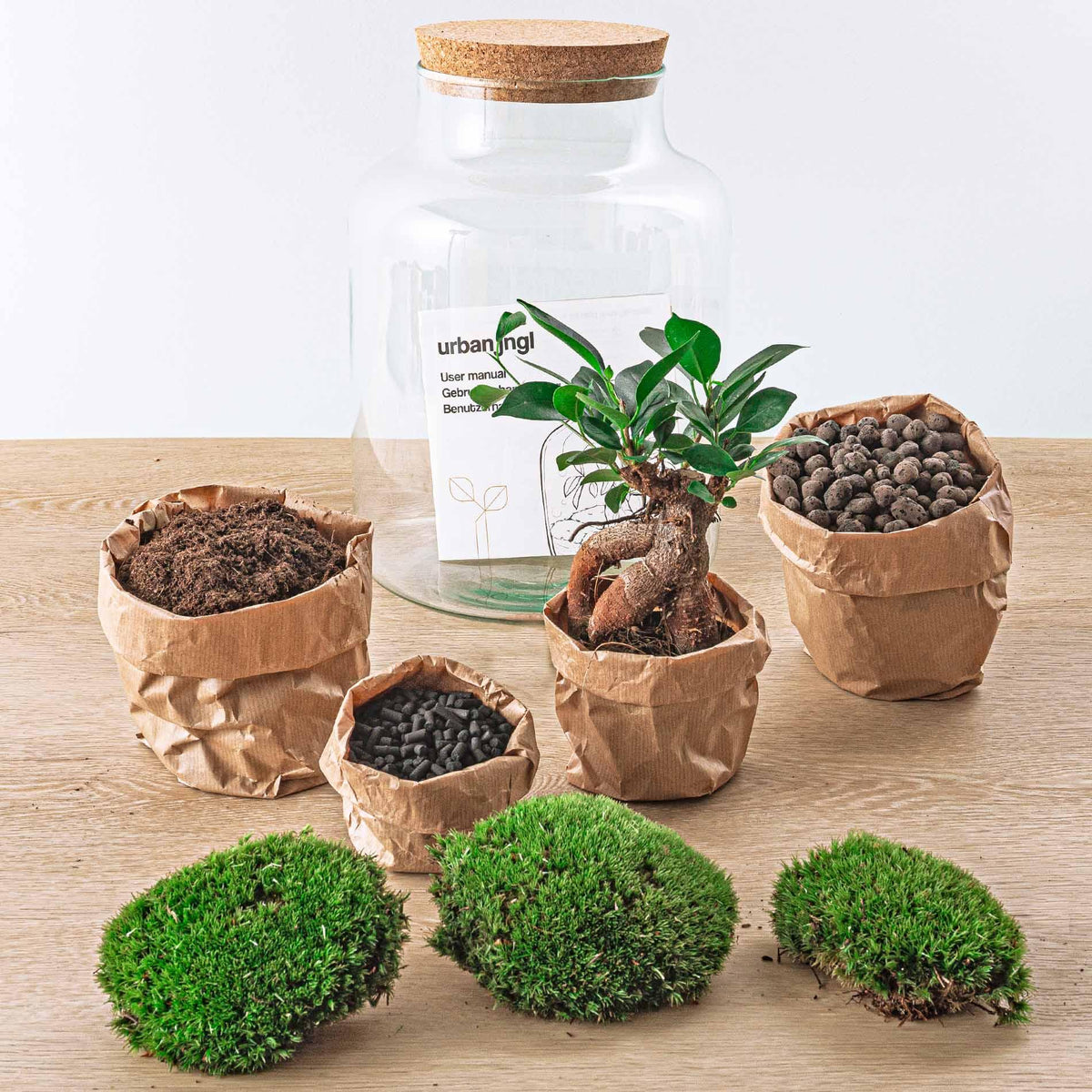💡 DIY Plantenterrarium met Verlichting – Milky Bonsai