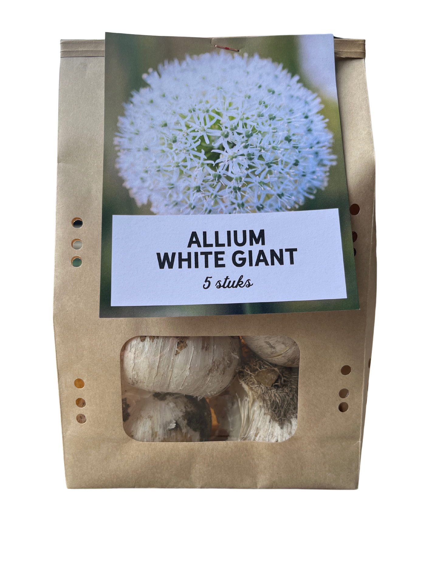 🌿 Allium ‘White Giant’ – Witte Sierui (5 Bollen)